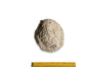 F 03238
<br/>
<br/>
<em></em>